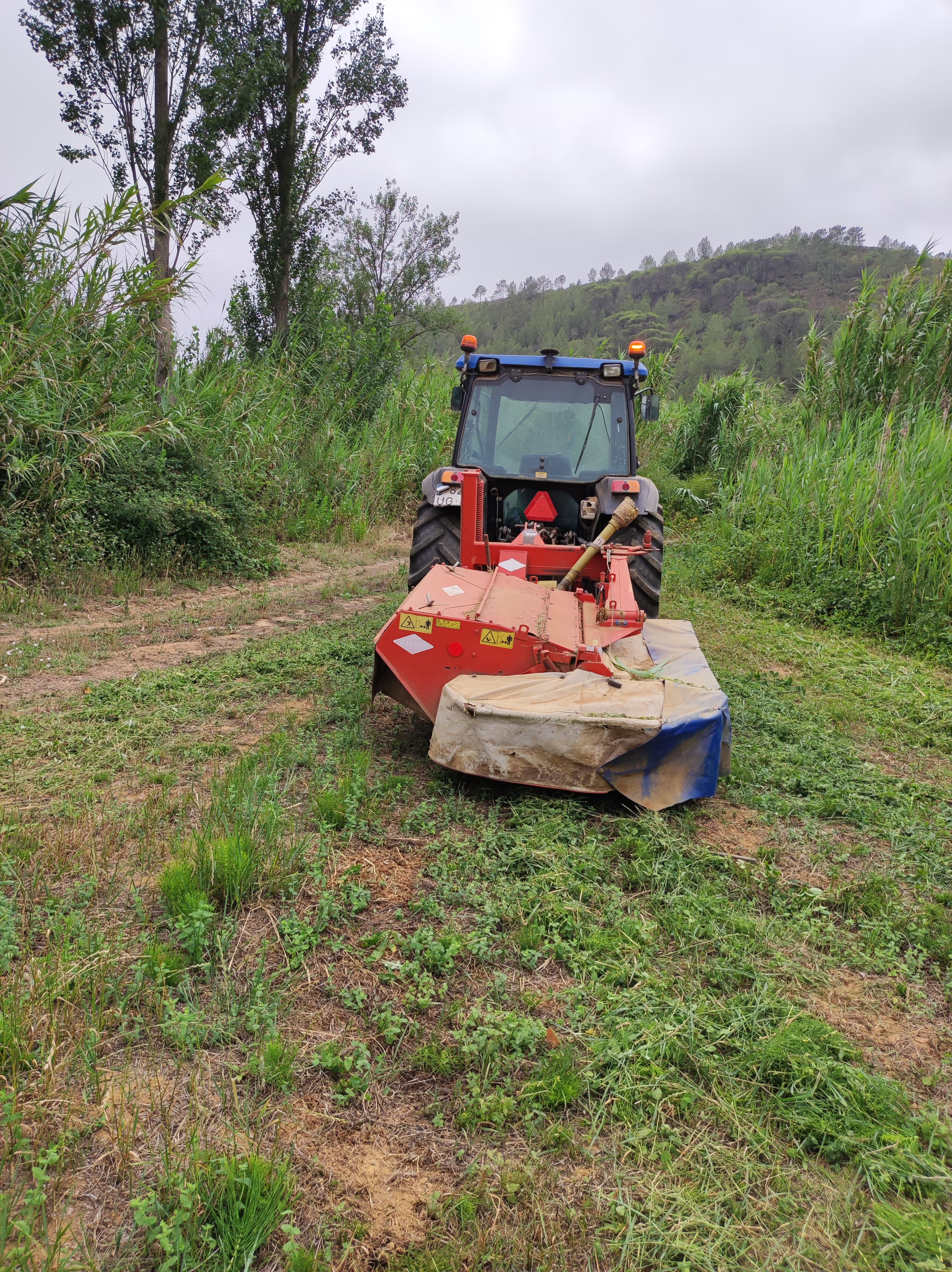 Serviços agricultura limpezas desmatacoes