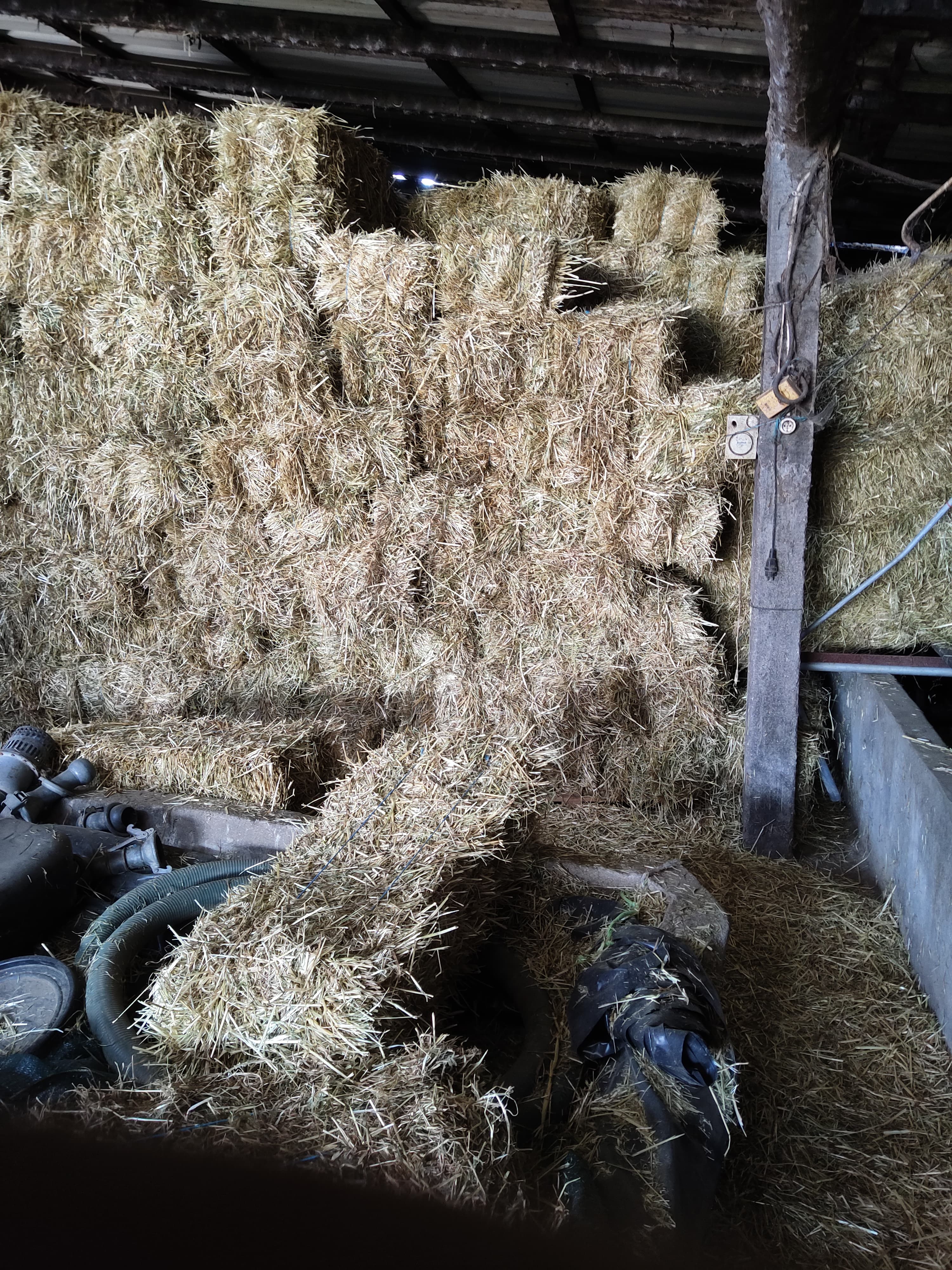 Tenho fardos de palha para venda