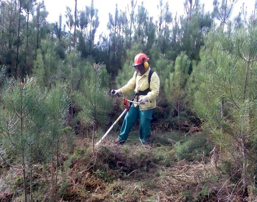 Limpezas de terrenos