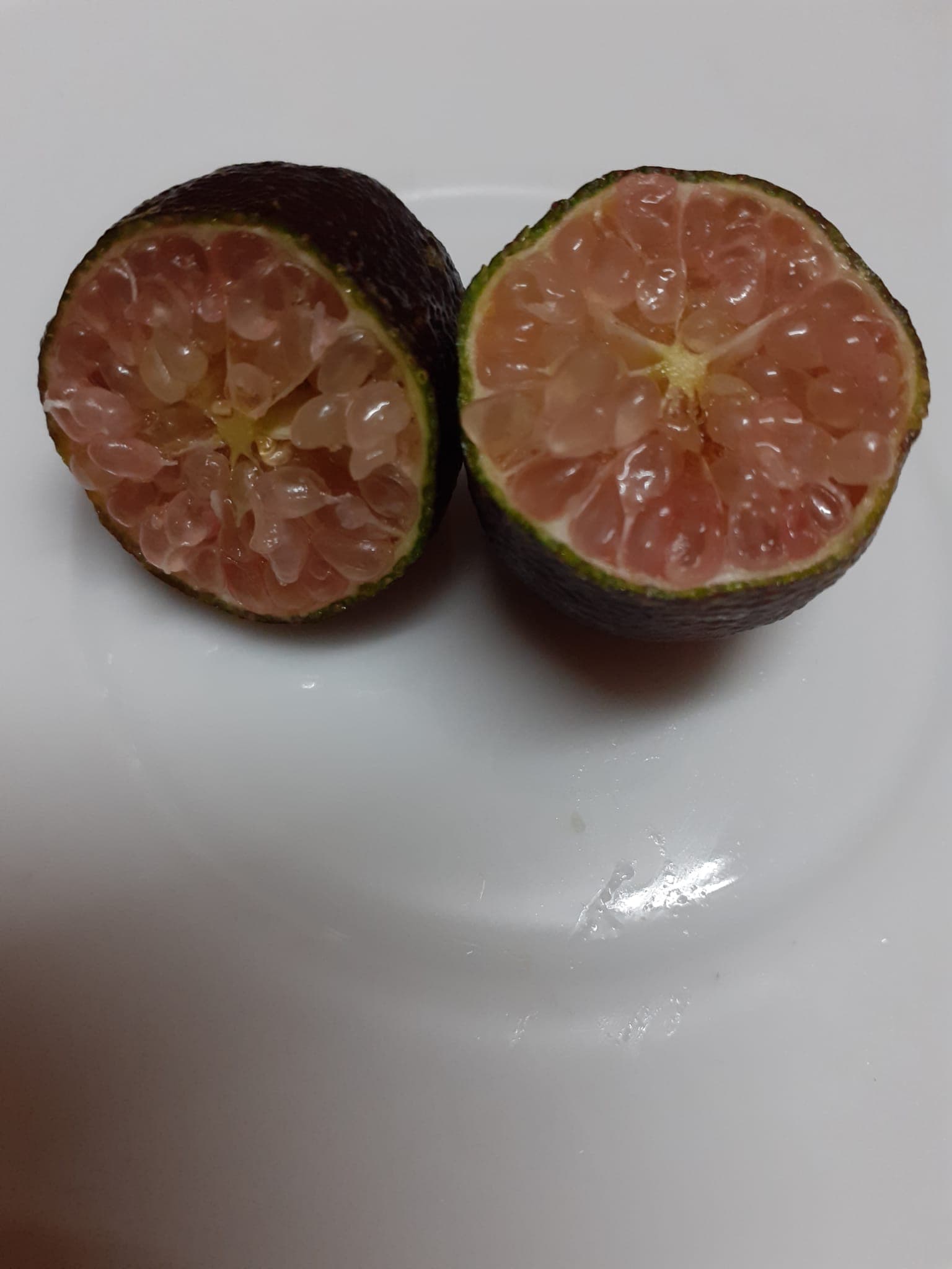 Limão caviar polpa vermelha