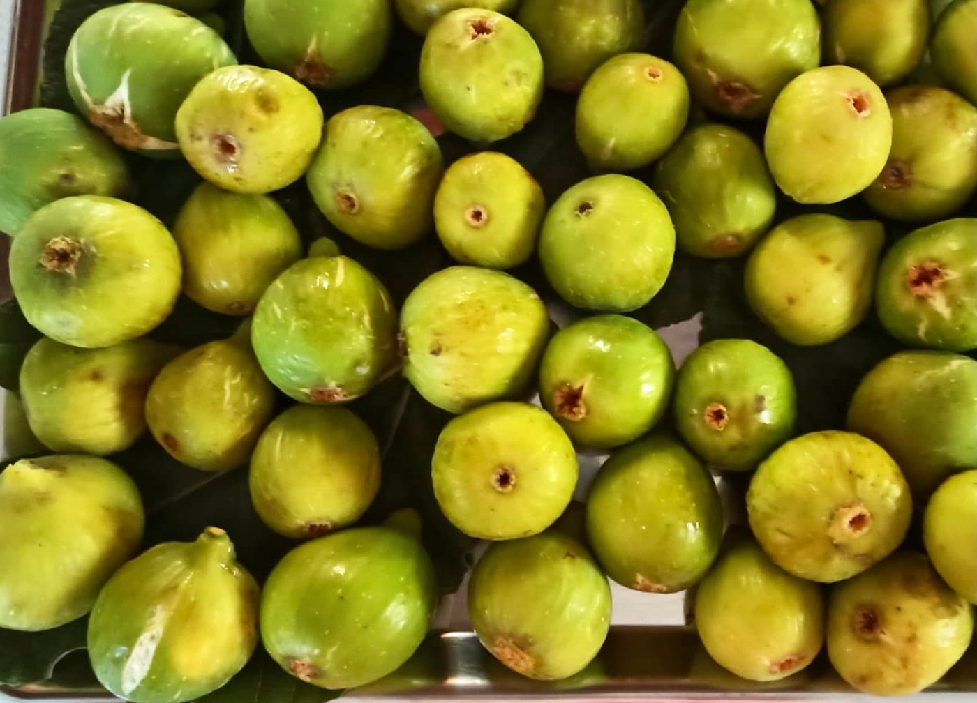 Frutas e Legumes biológicos