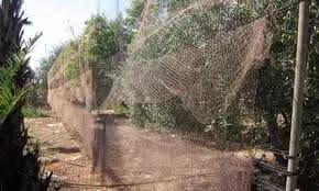 Redes Anti Aves Resistentes ( Fio Multifilamento ) Invisíveis