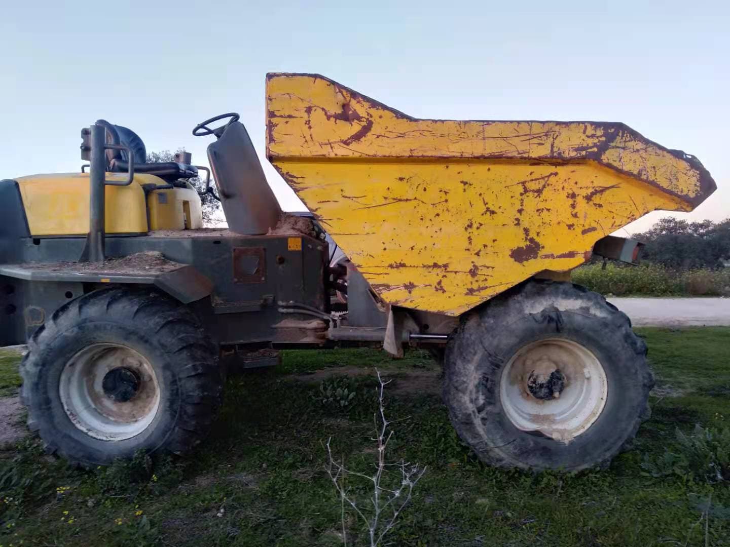 10T Dumper