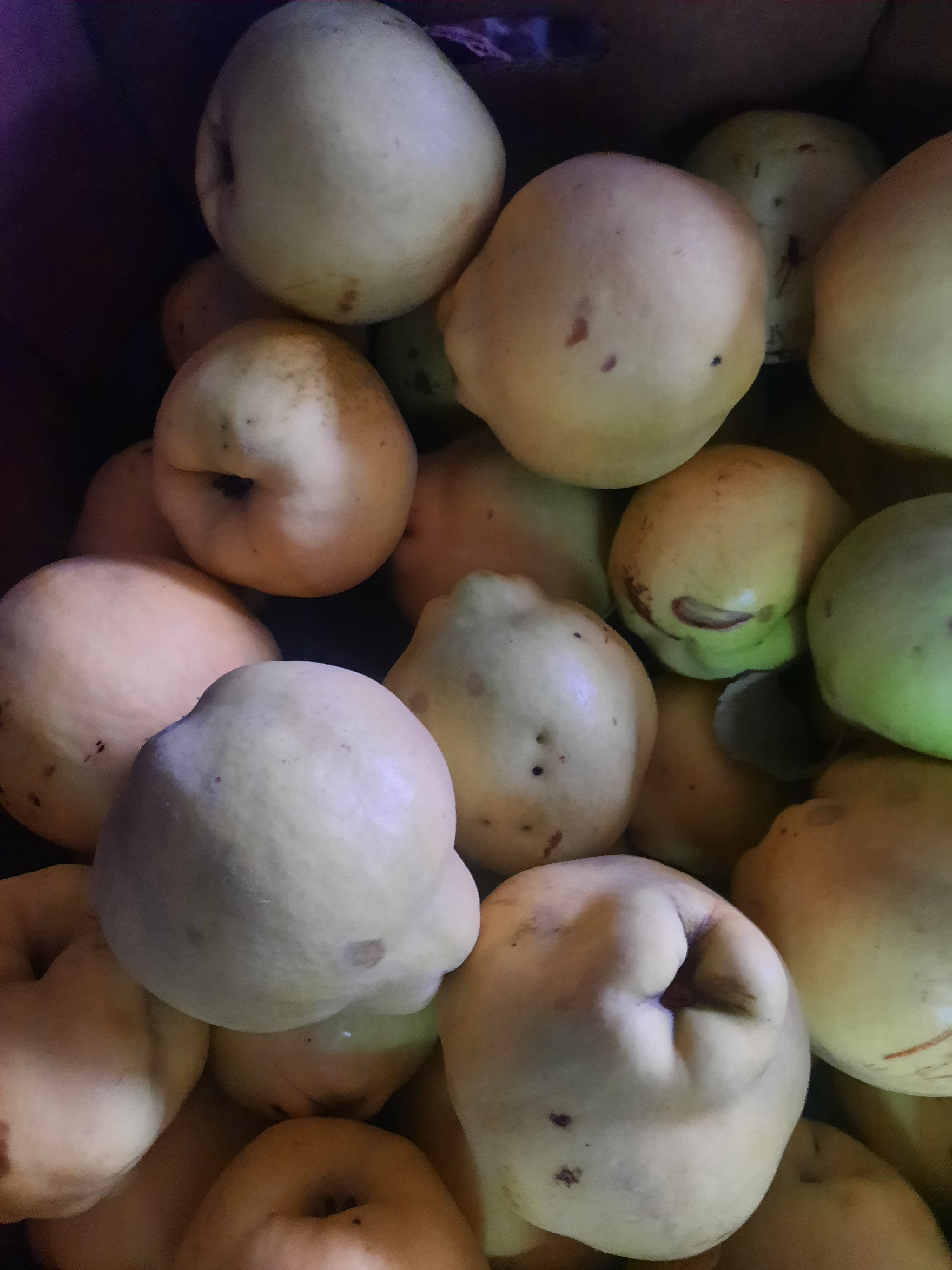 Marmelos Biológicos