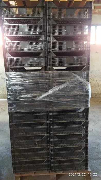 Caixas Fruta Hortícolas Azeitona etc 1 €
