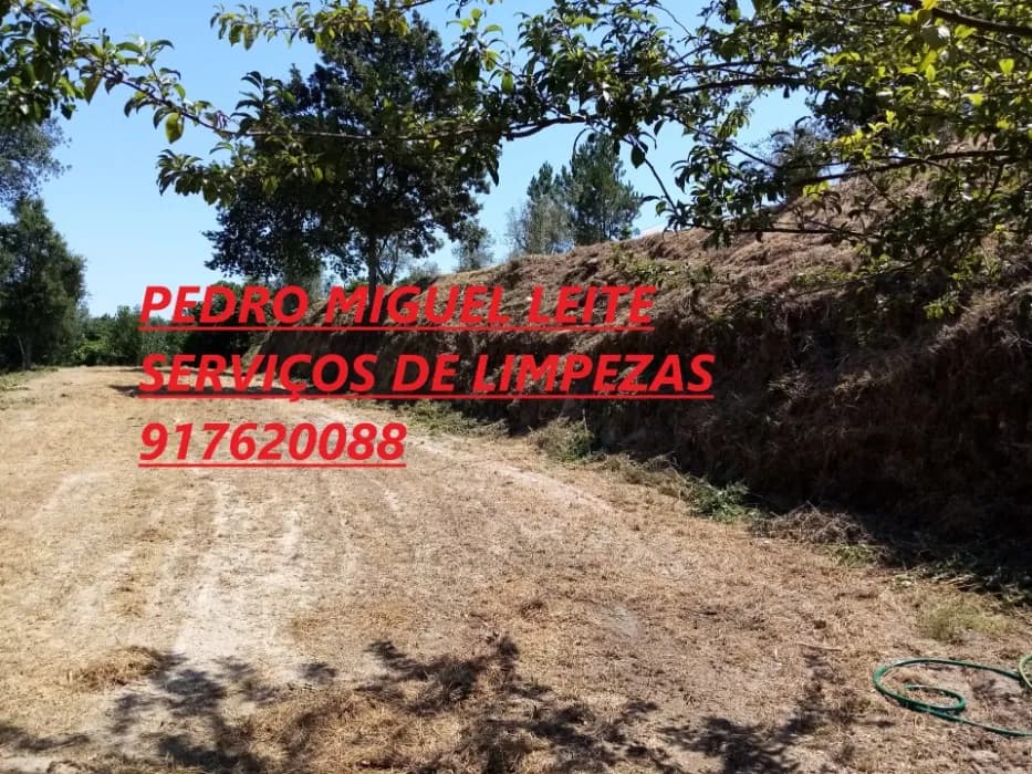 Prestação de serviços (podas, limpezas, jardinagem, etc)