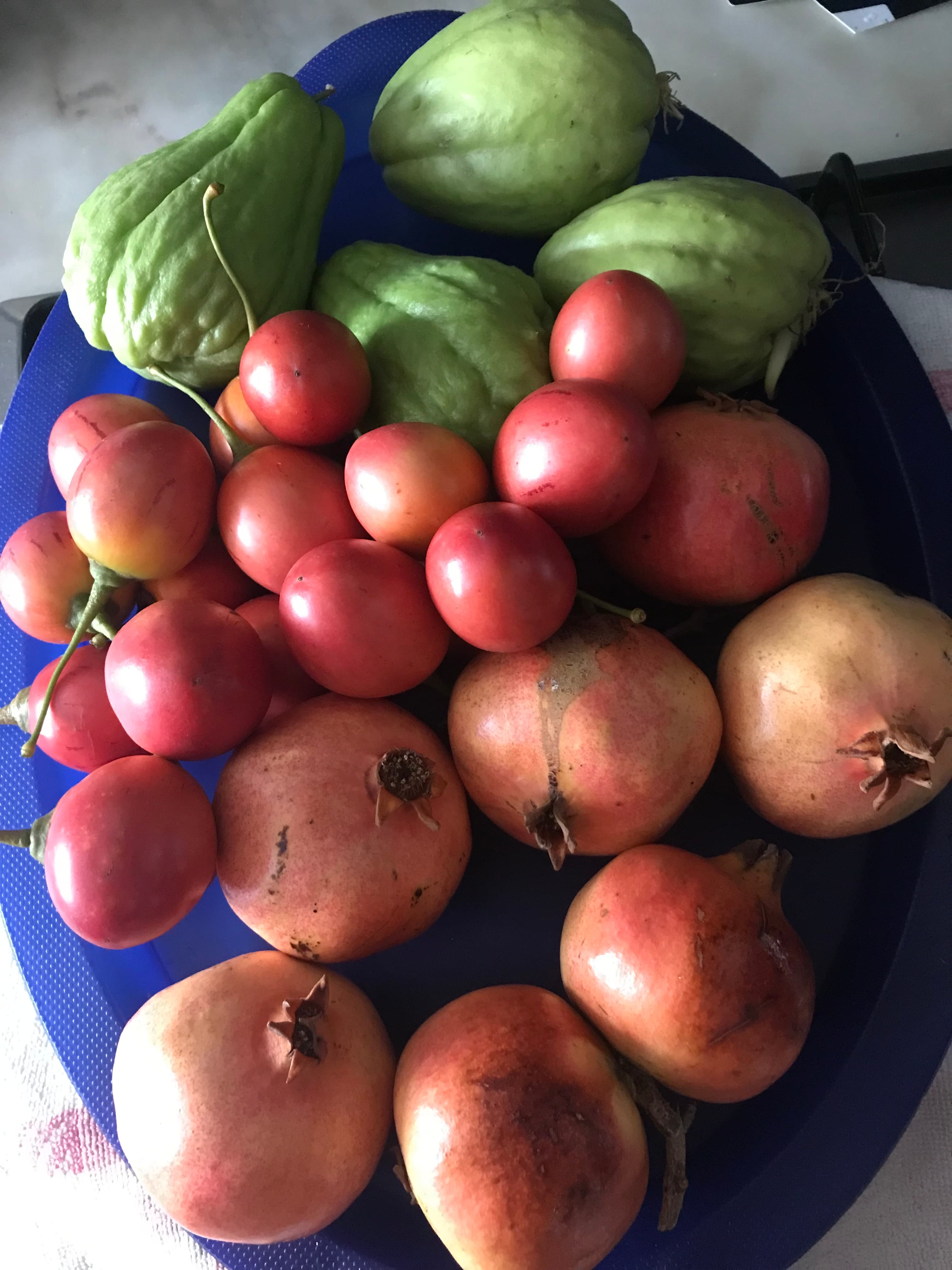 Romã, Tamarilho ou tomate – maracujá, Chuchu, fruta da época