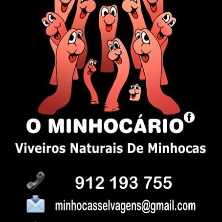 O Minhocário - Viveiros Naturais de minhocas