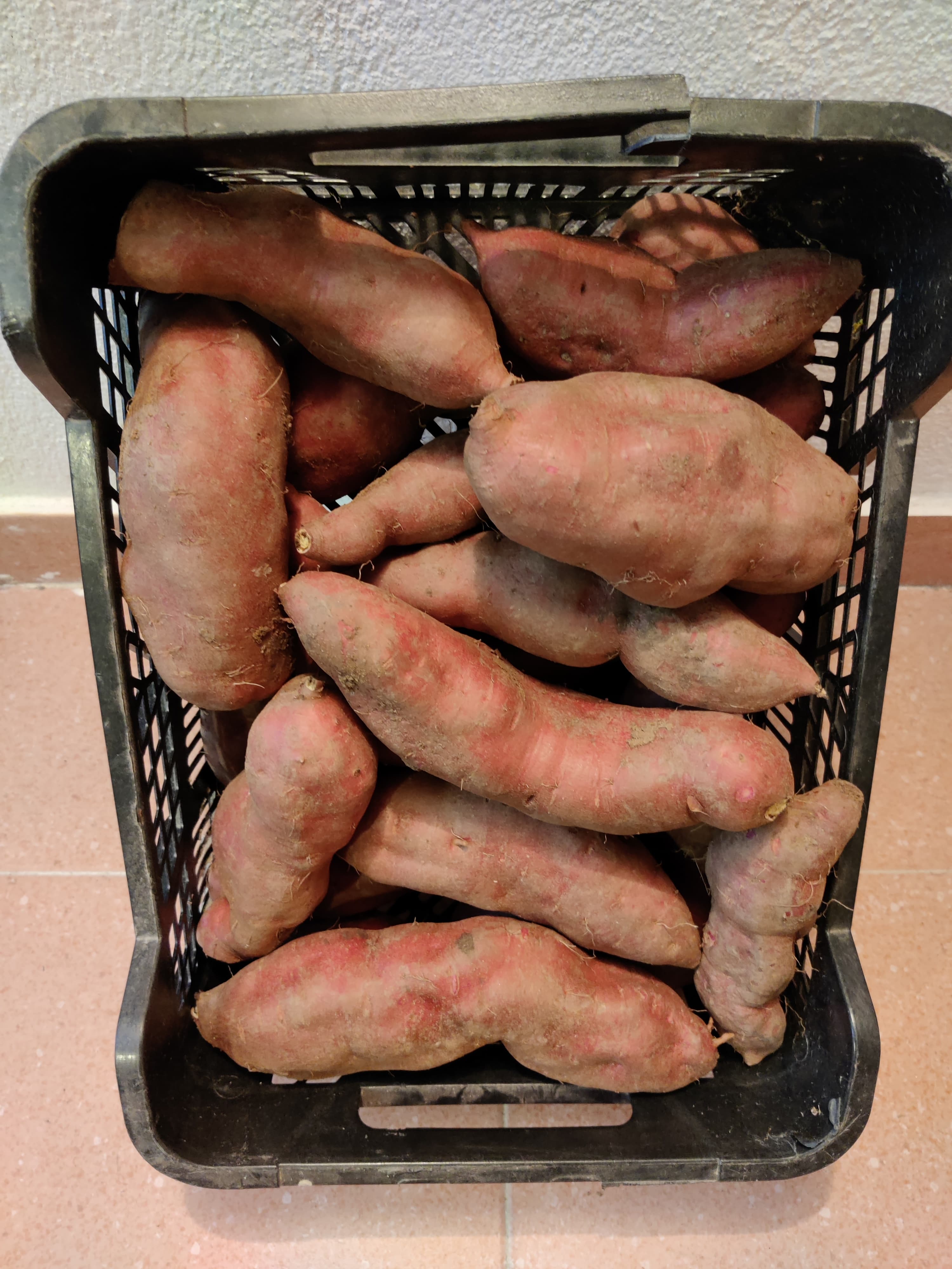 Batata doce biológica