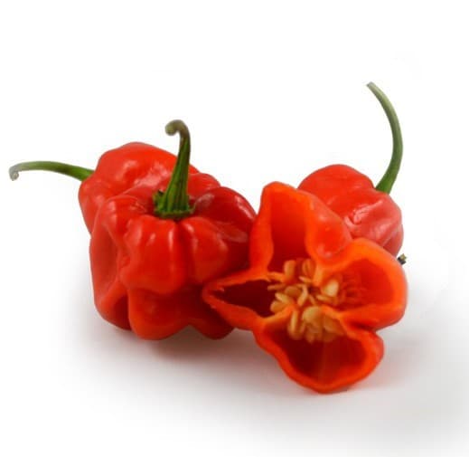 Pimentos picantes Habanero