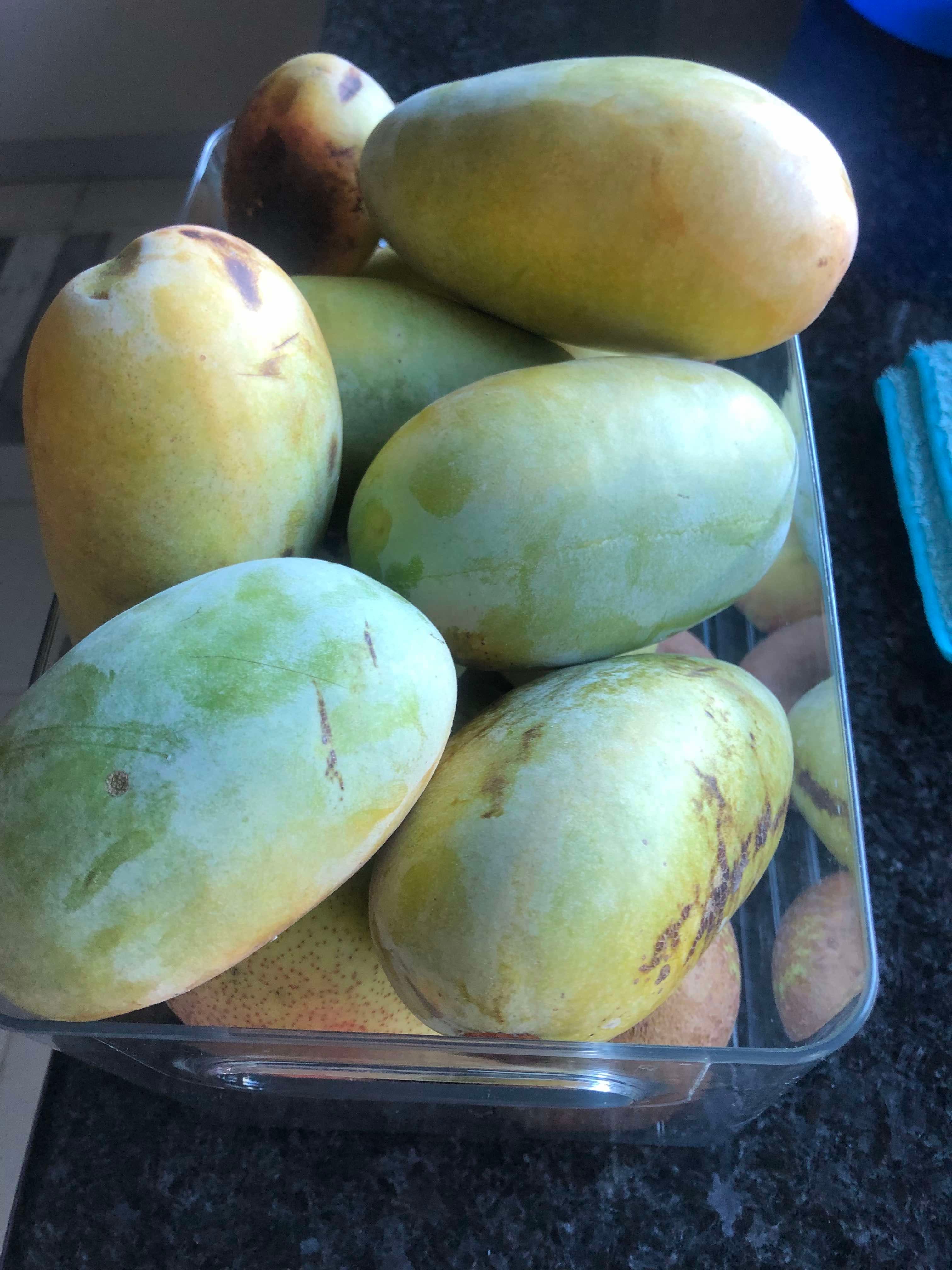PawPaw sementes