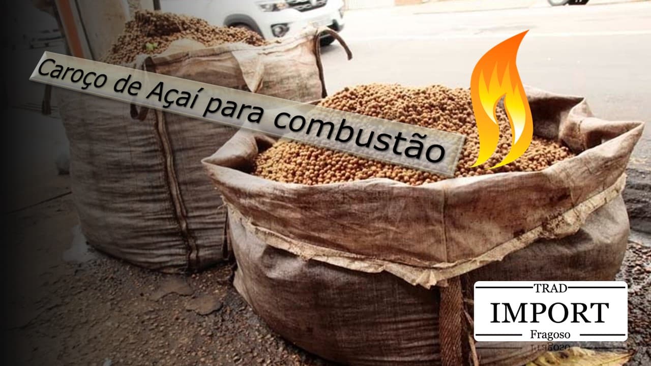 Caroços de Açai para combustão , Biomassa.