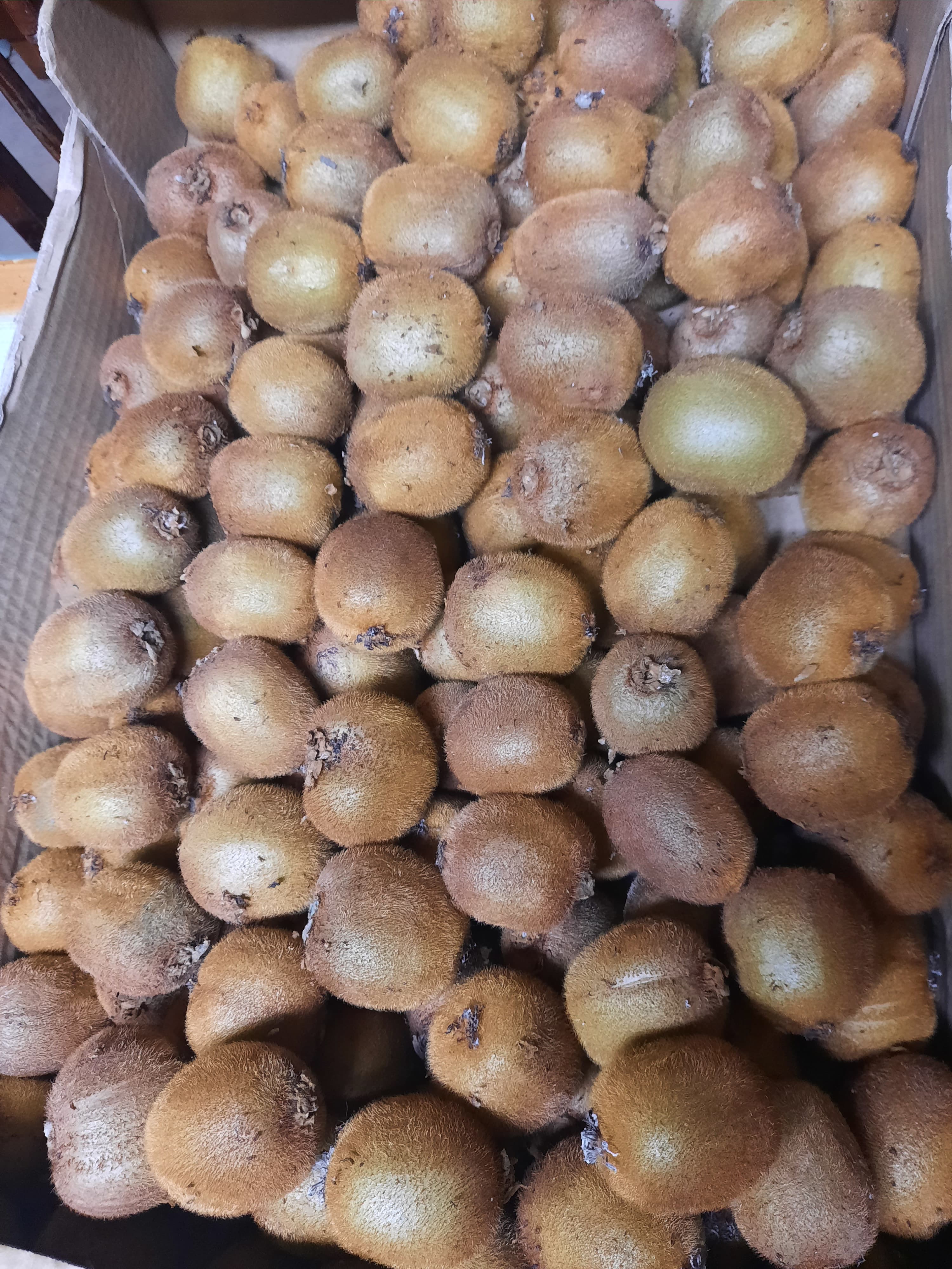 Kiwis biológicos