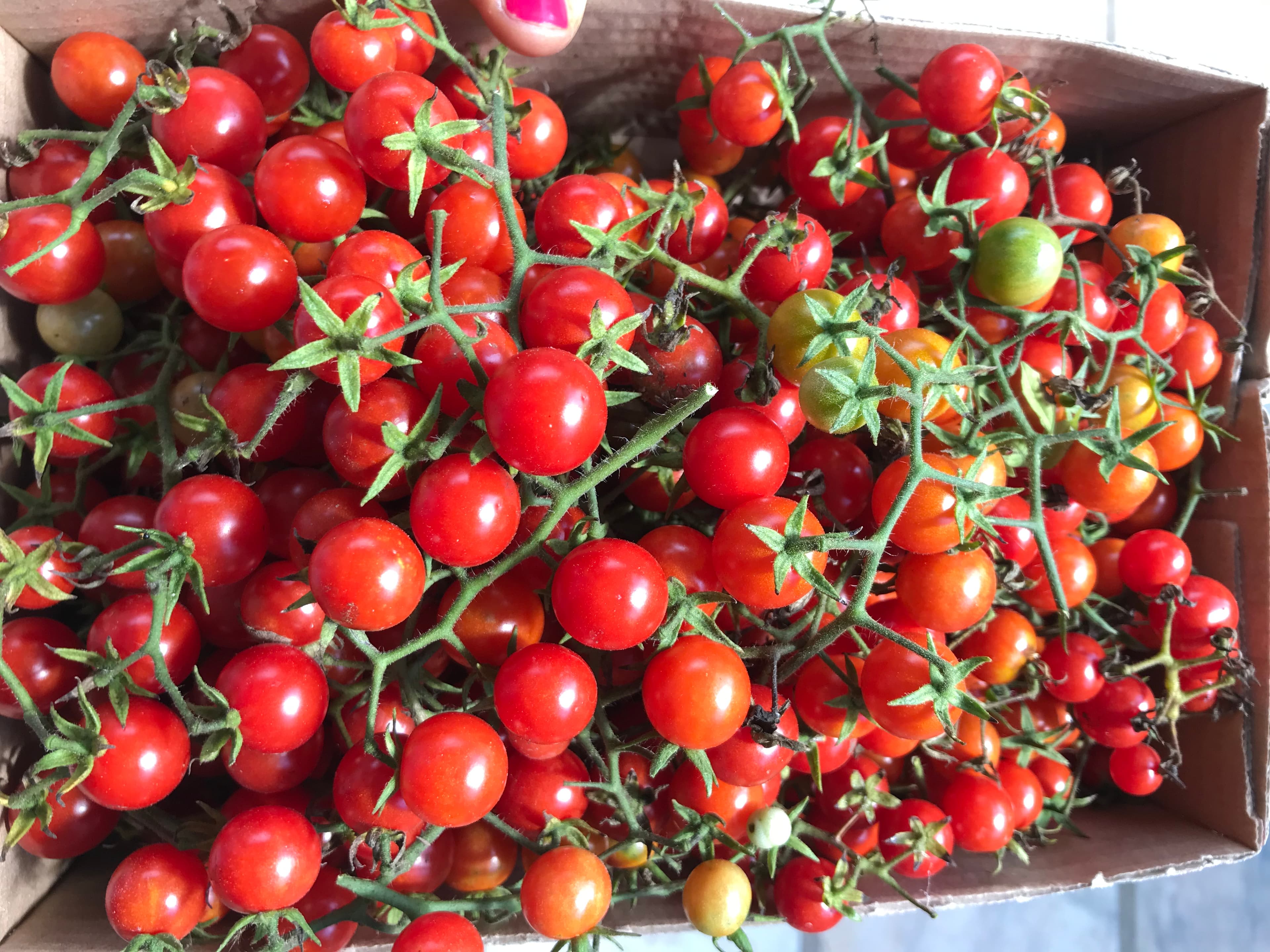 Cabazes Hortofrutícolas – 6 a 8kg