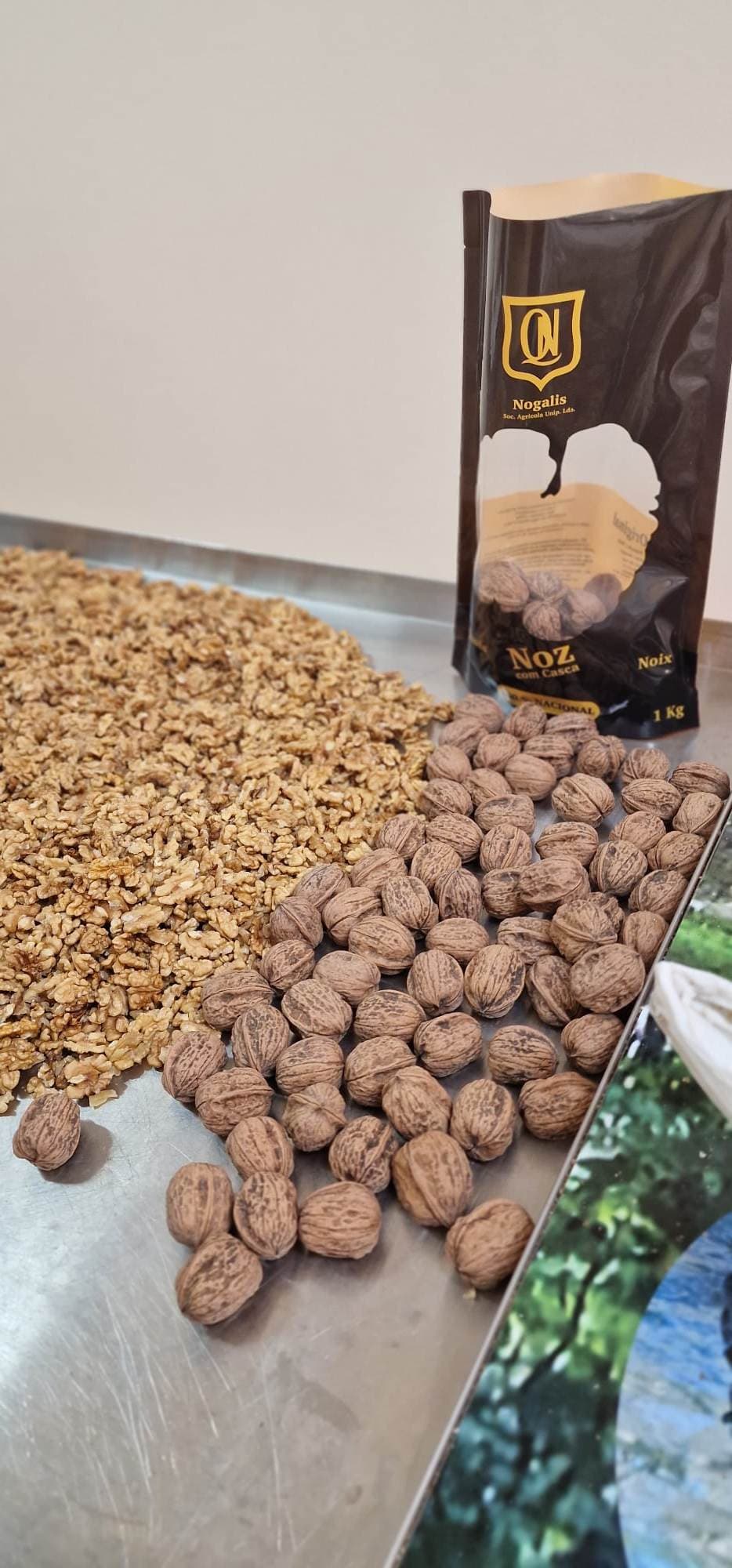 Noz com casca e miolo de noz