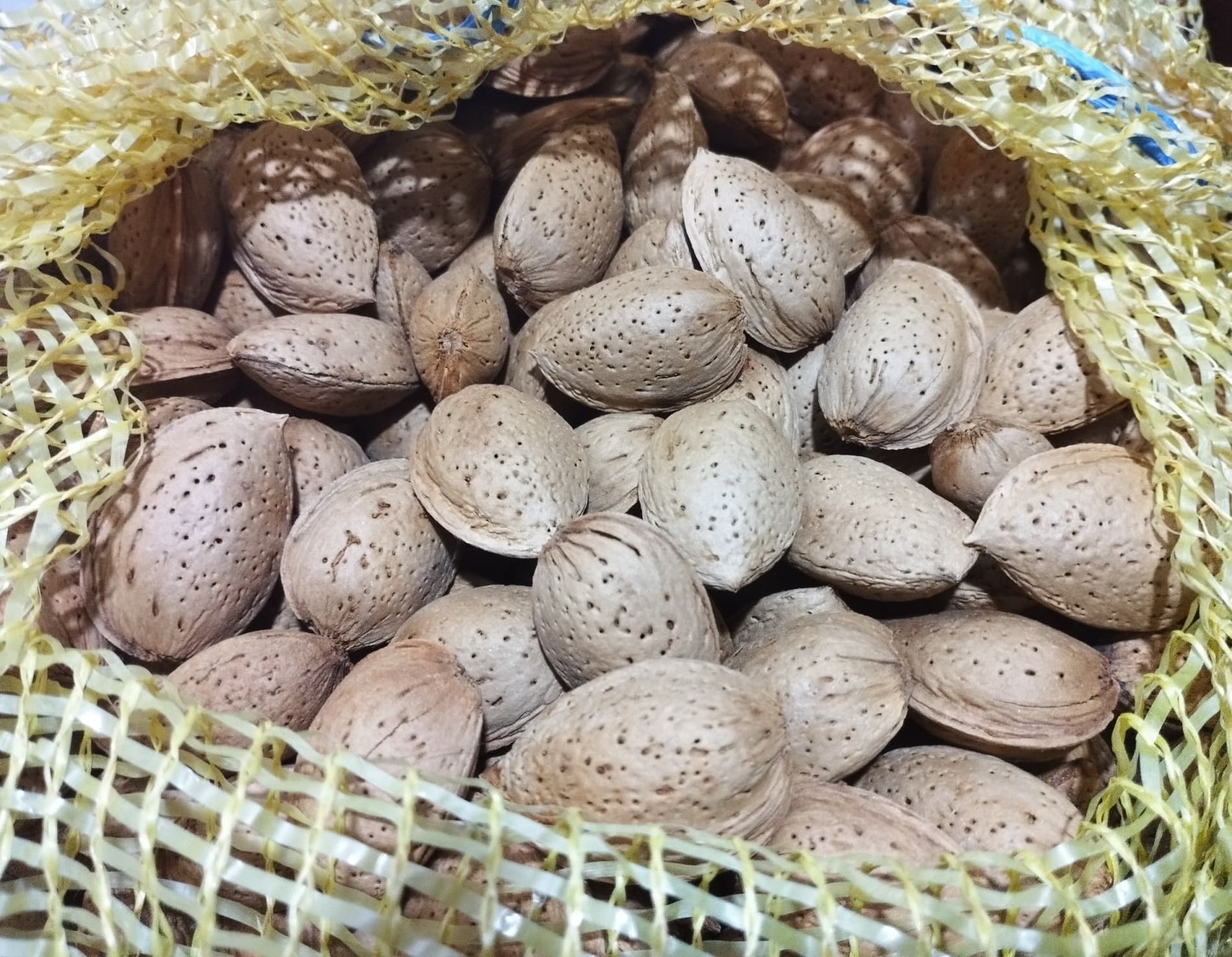 8kg de Amêndoa com casca de trás os montes, biológica