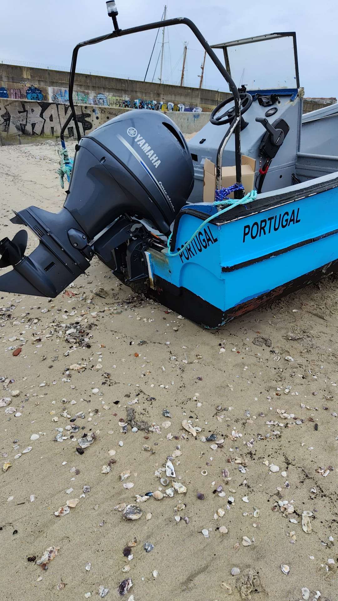Barco de pesca profissional