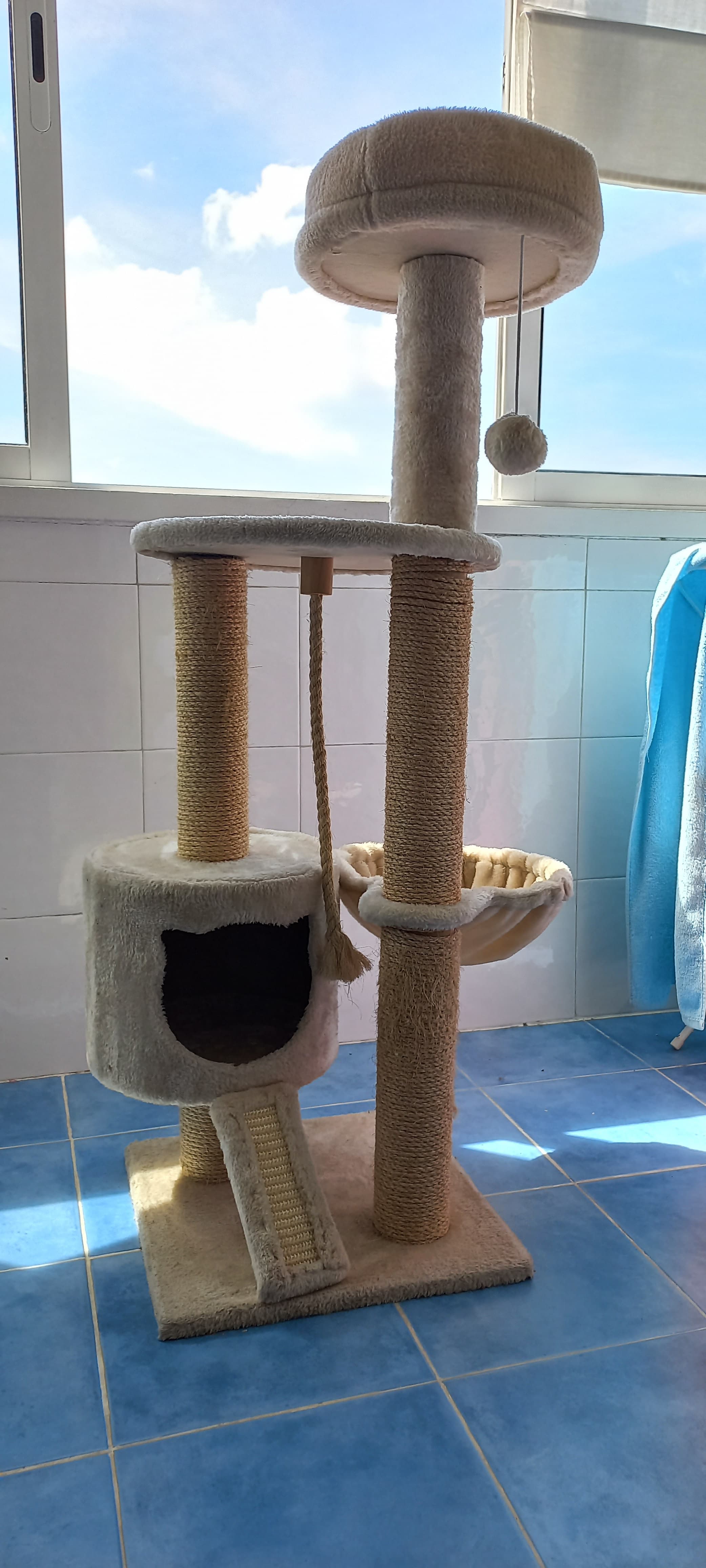 Brinquedo para gatos