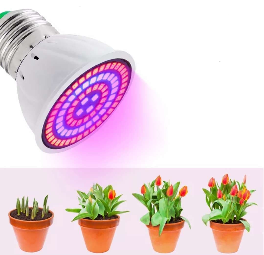 Lâmpadas para plantas - NOVAS