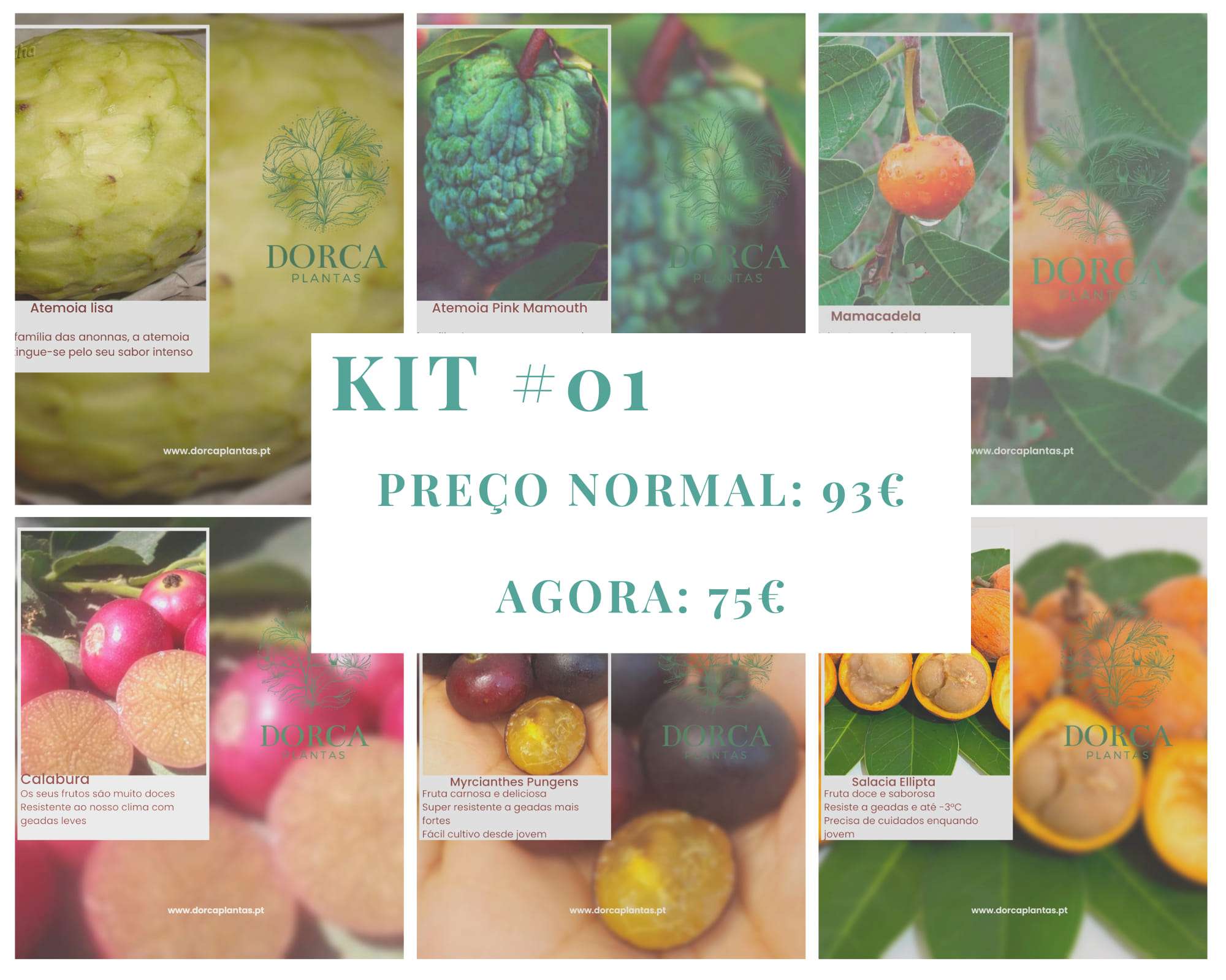 Kits de plantas raras / Rare Plants KITS