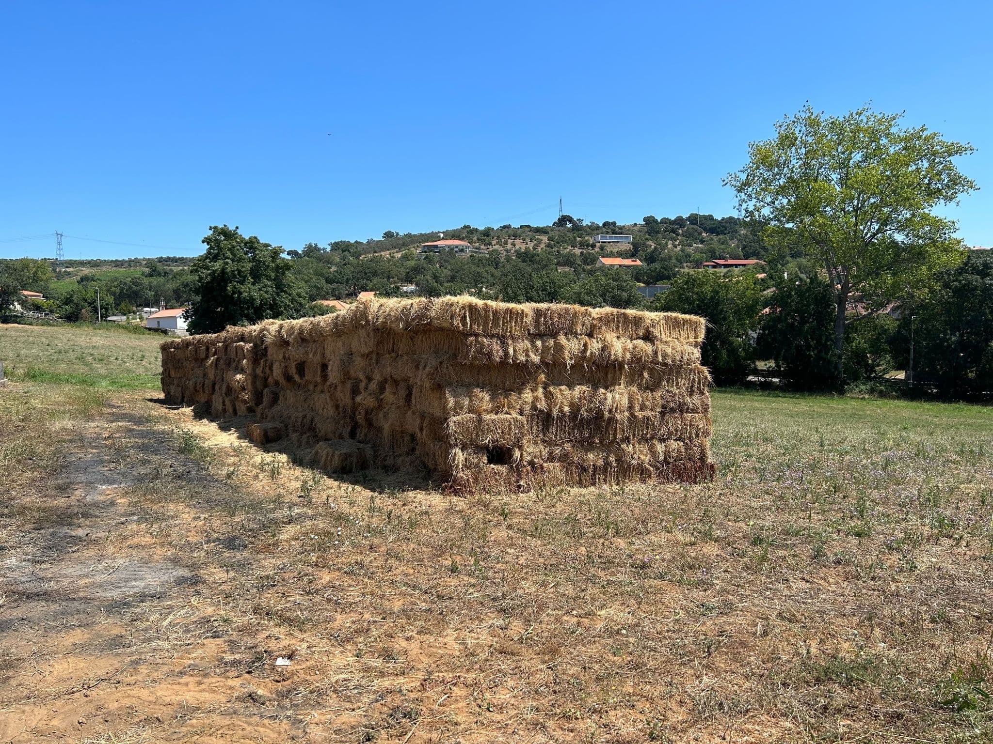 venda de Feno