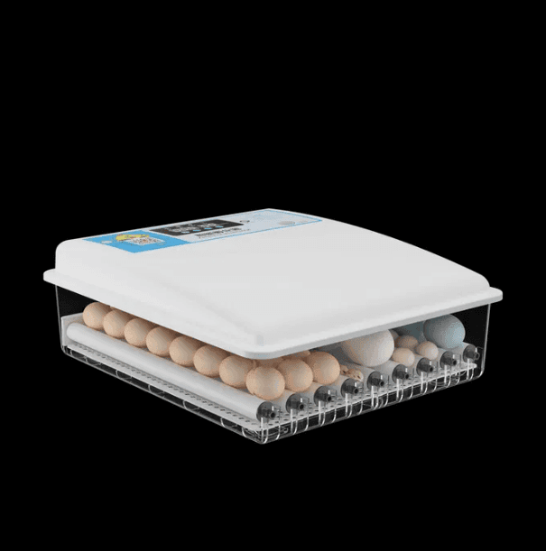 Chocadeira/Incubadora 64 ovos – 100% automática – PORTES GRÁTIS