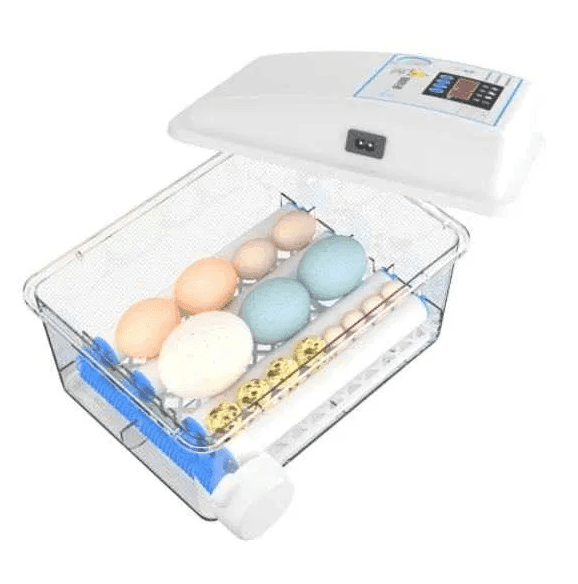 Chocadeira/Incubadora 12 ovos – 100% automática – PORTES GRÁTIS