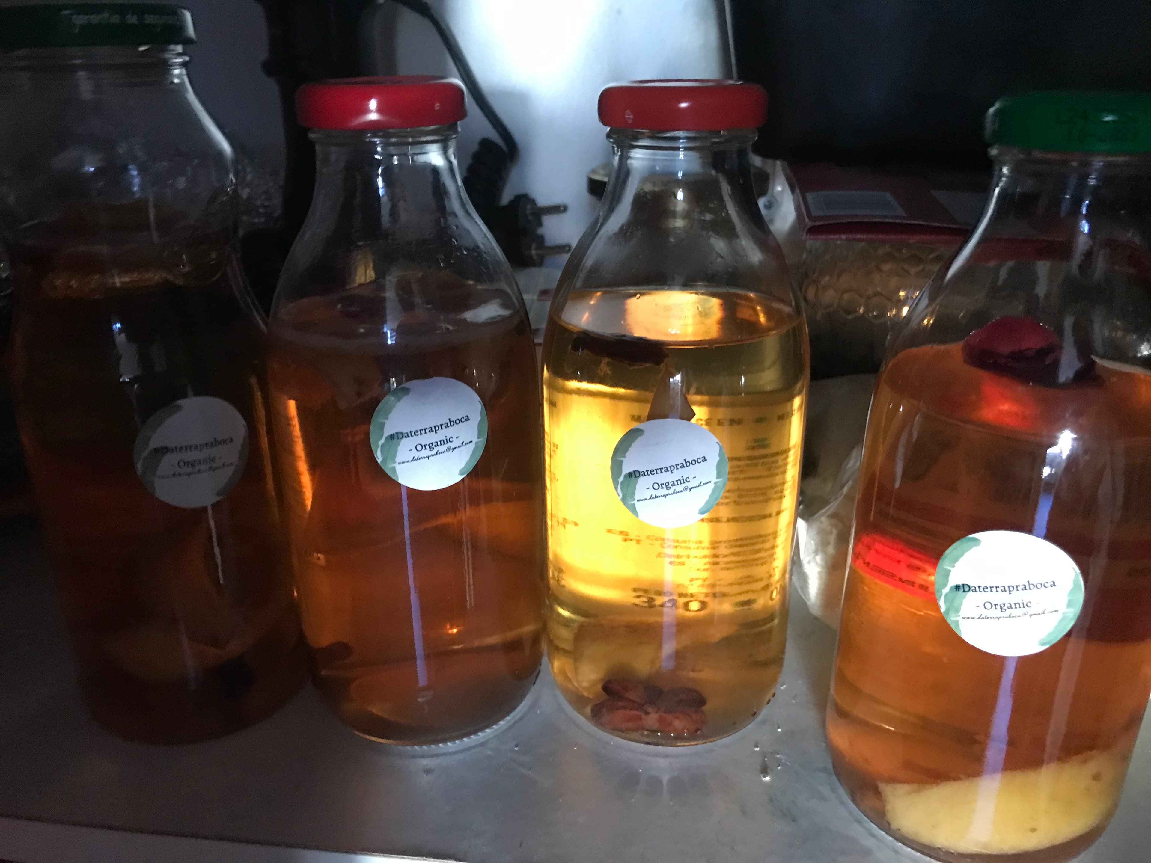 Kombucha caseira e scoobys