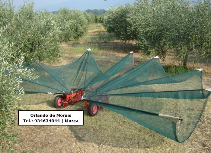 Toldo articulado apanha azeitonas 7 metros