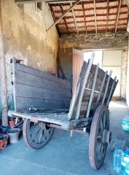 Carro de Bois Antigo
