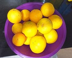 Laranja fresca em MPB