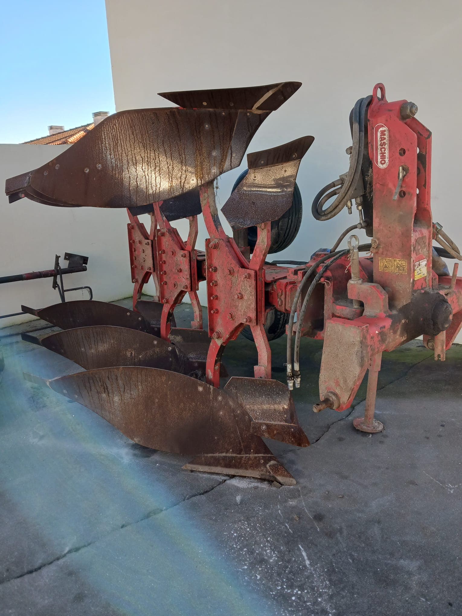 Charrua Maschio Lelio M Vario 201
