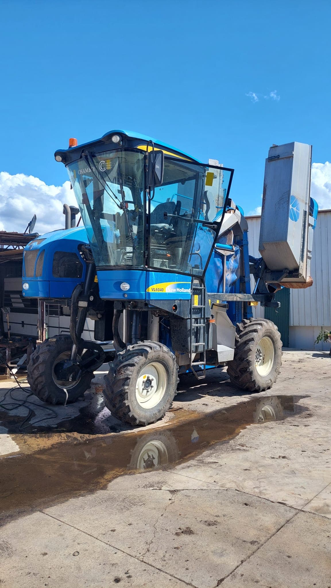 Máquina de vindimar New Holland Braud VL6040