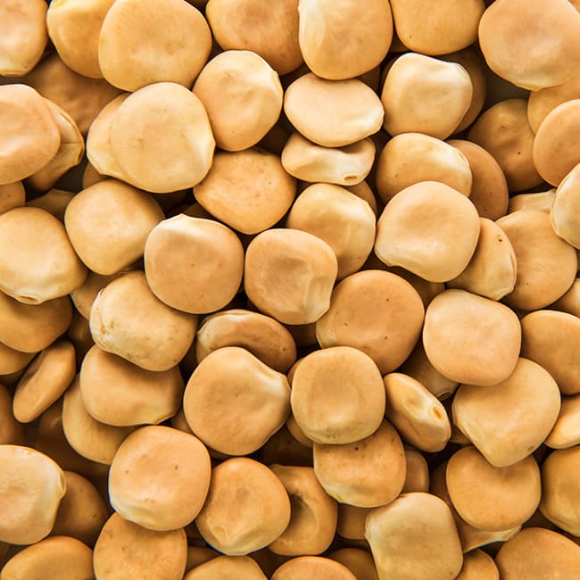 Tremoços
