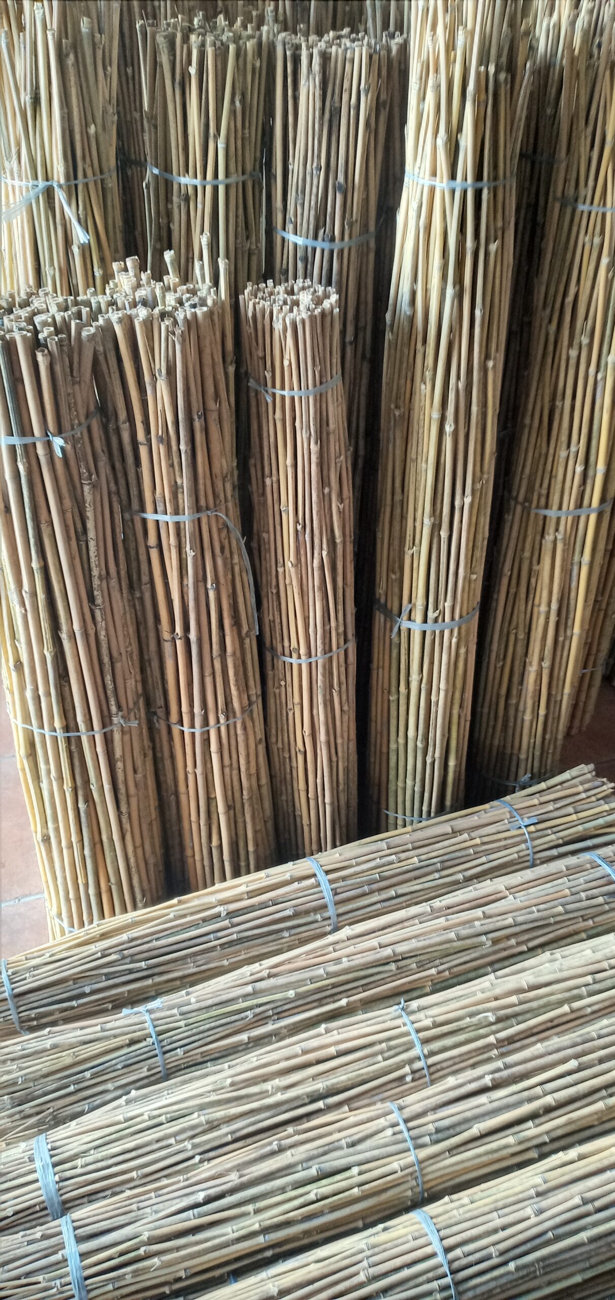 Canas de Bambu/Tutores