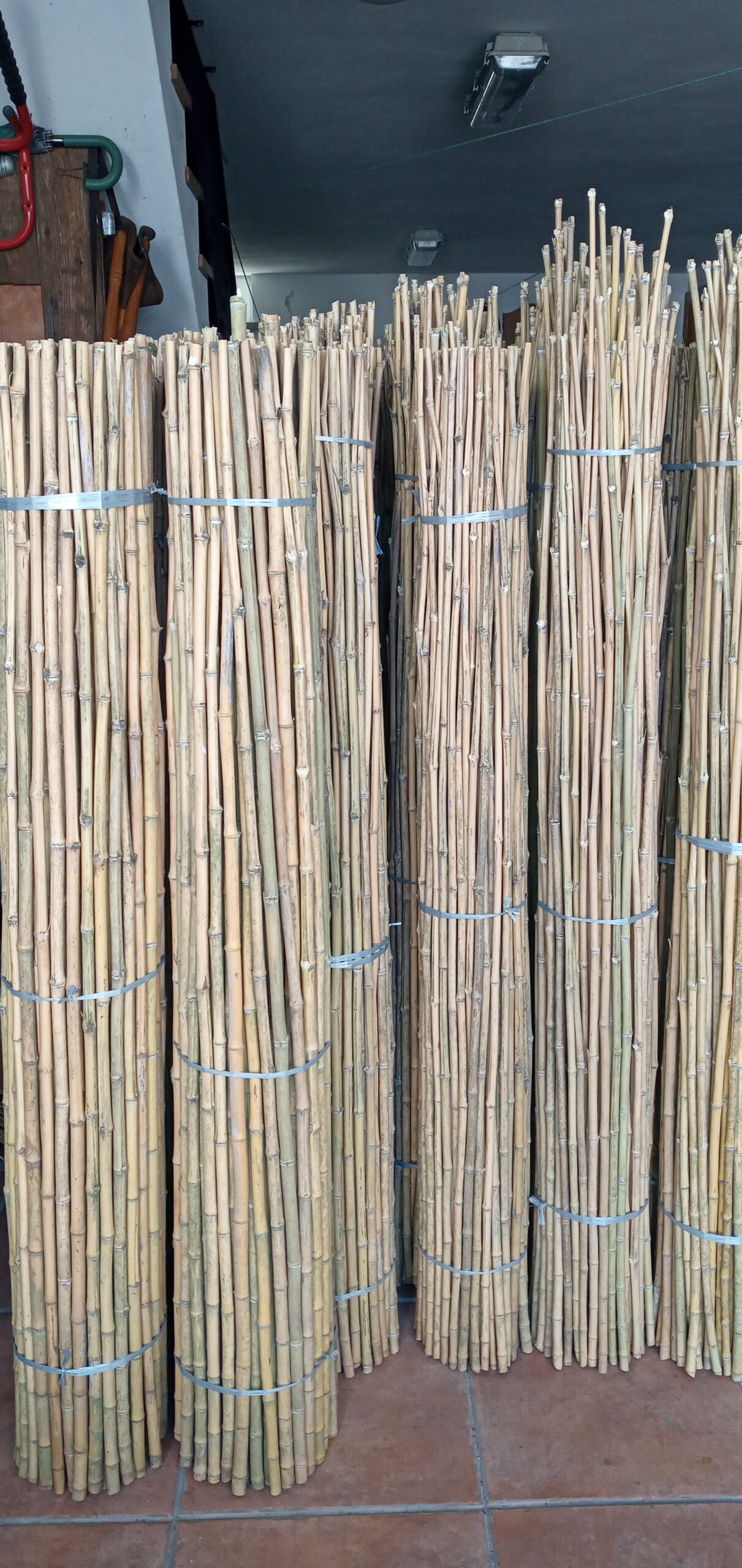 Canas de Bambu/Tutores
