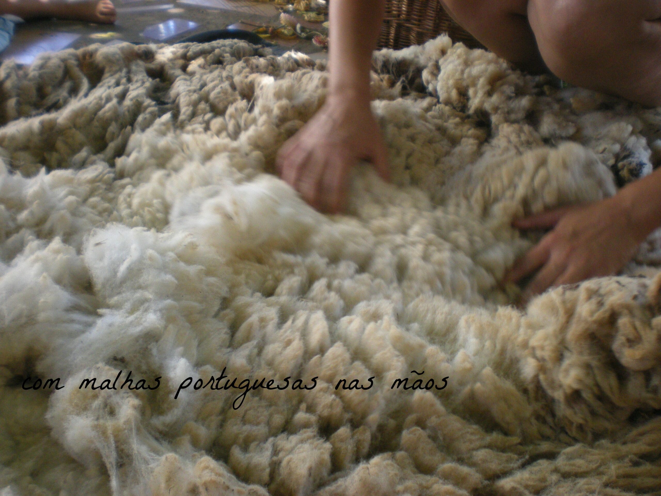 Lã de ovelha merina