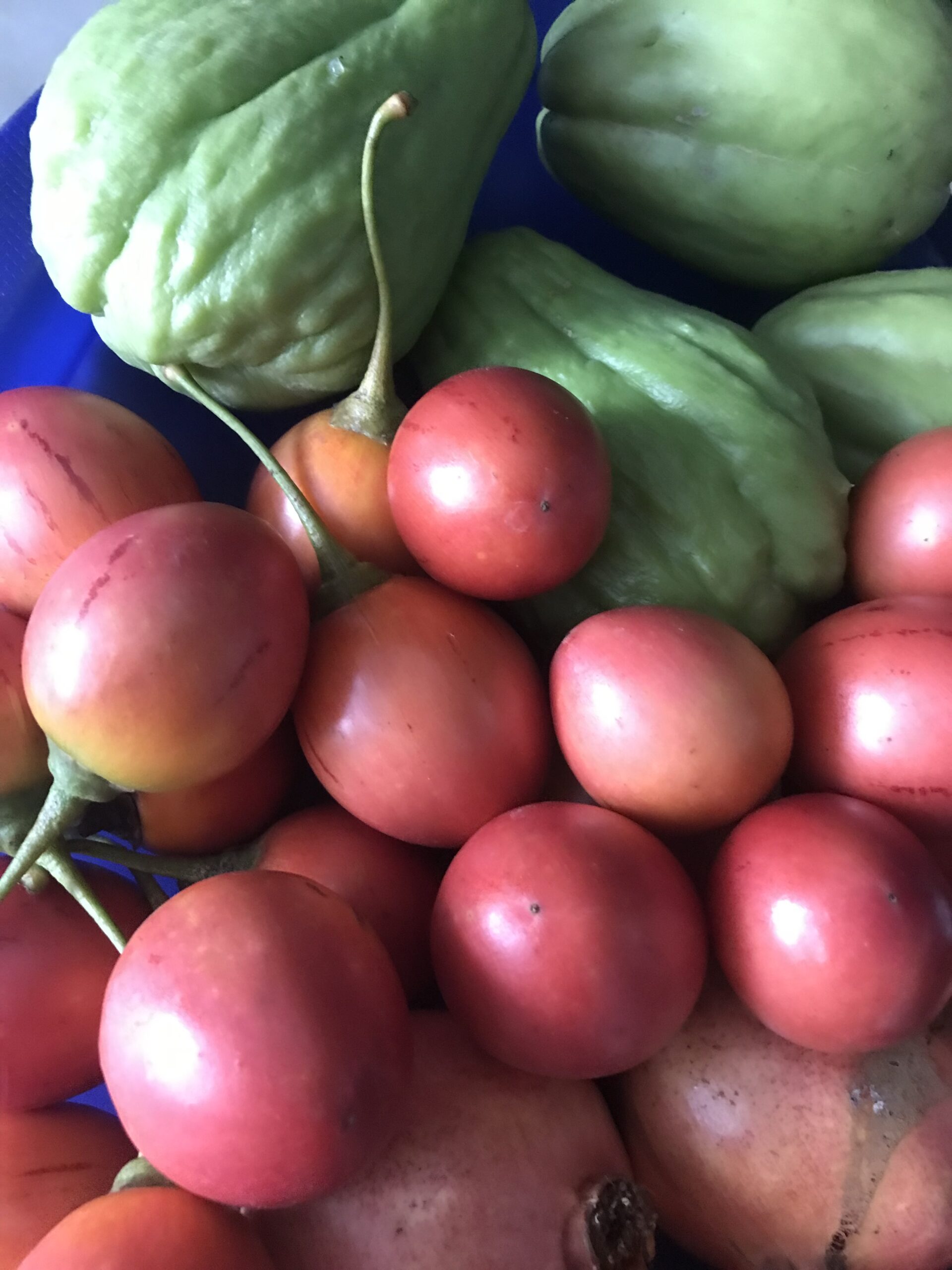 Romã, Tamarilho ou tomate – maracujá, Chuchu, fruta da época