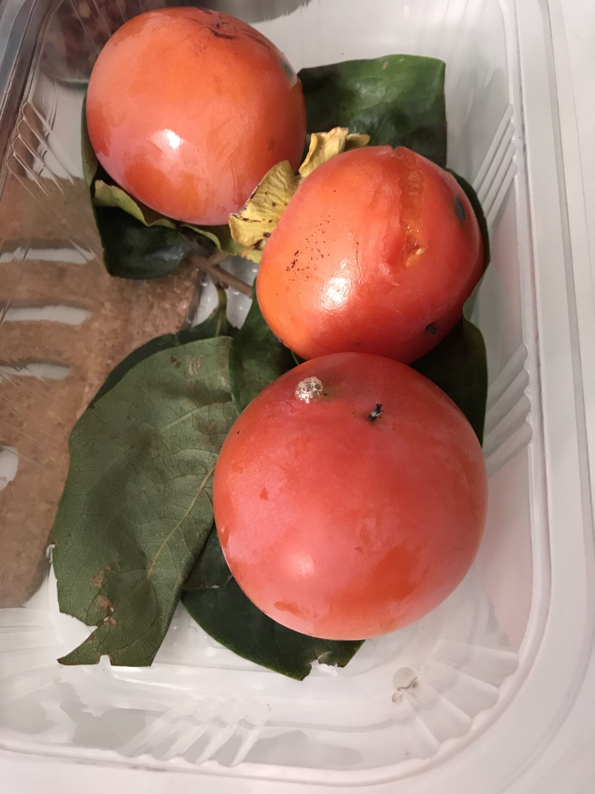 Cabazes Hortofrutícolas – 6 a 8kg