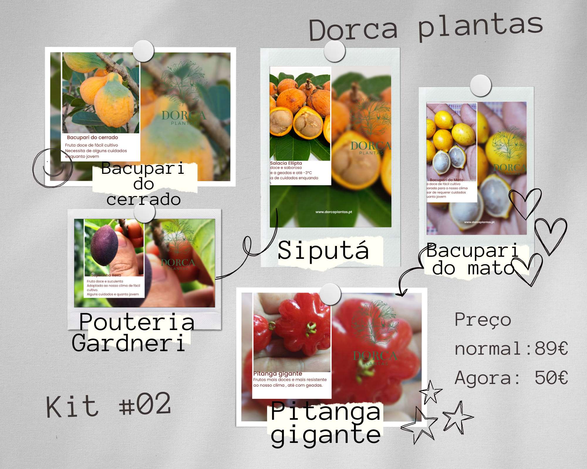Kits de plantas raras / Rare Plants KITS