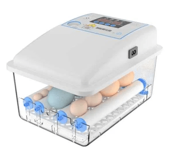 Chocadeira/Incubadora 12 ovos – 100% automática – PORTES GRÁTIS