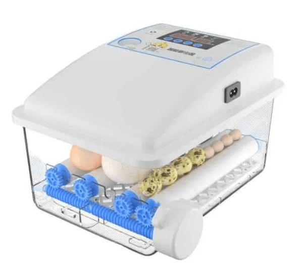 Chocadeira/Incubadora 12 ovos – 100% automática – PORTES GRÁTIS