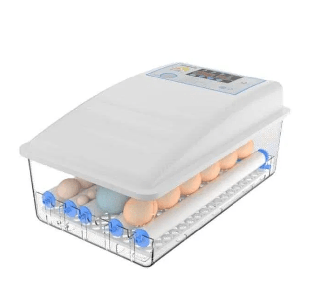 Chocadeira/Incubadora 24 ovos – 100% automática – PORTES GRÁTIS