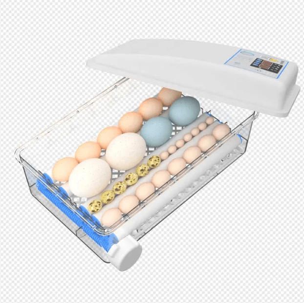 Chocadeira/Incubadora 24 ovos – 100% automática – PORTES GRÁTIS