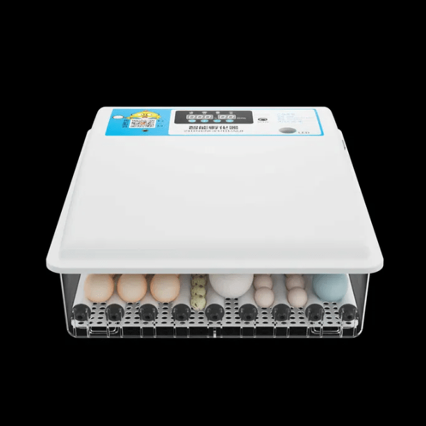 Chocadeira/Incubadora 64 ovos – 100% automática – PORTES GRÁTIS