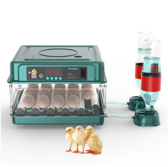 PROMOÇÃO NOVA Chocadeira/Incubadora 30 ovos Automática – SK-30