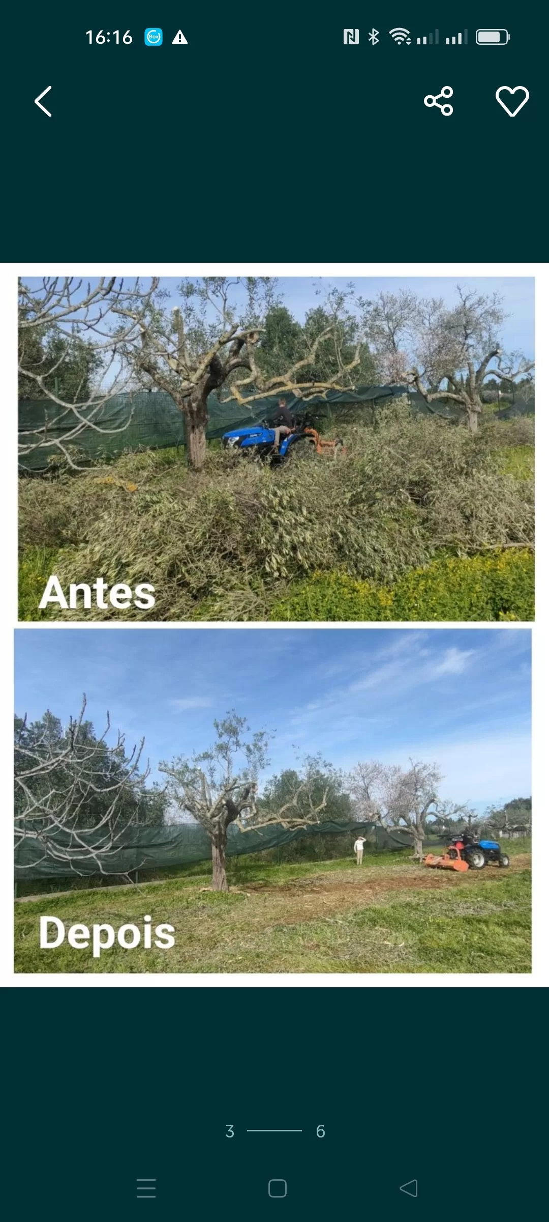 Limpeza de terrenos e outros / Land clearing