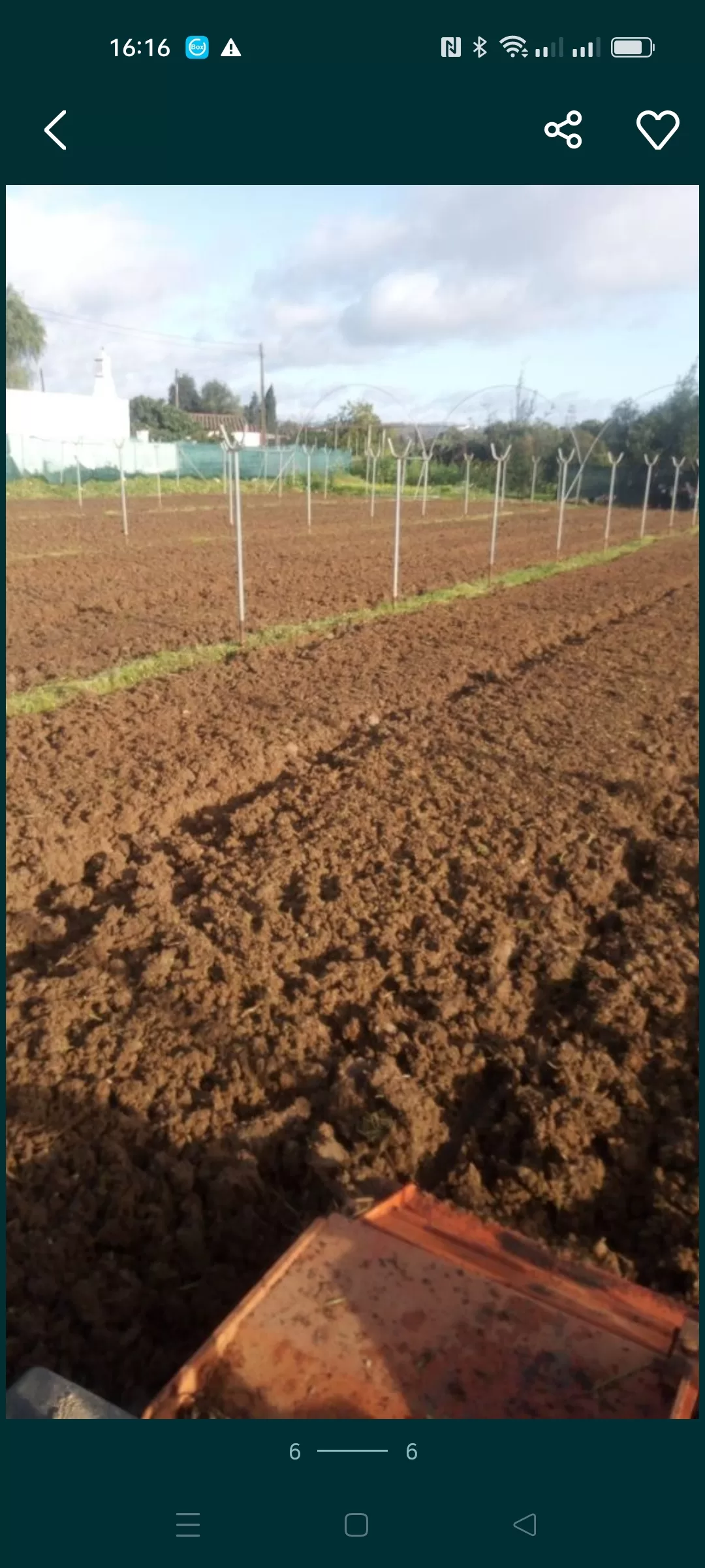 Limpeza de terrenos e outros / Land clearing