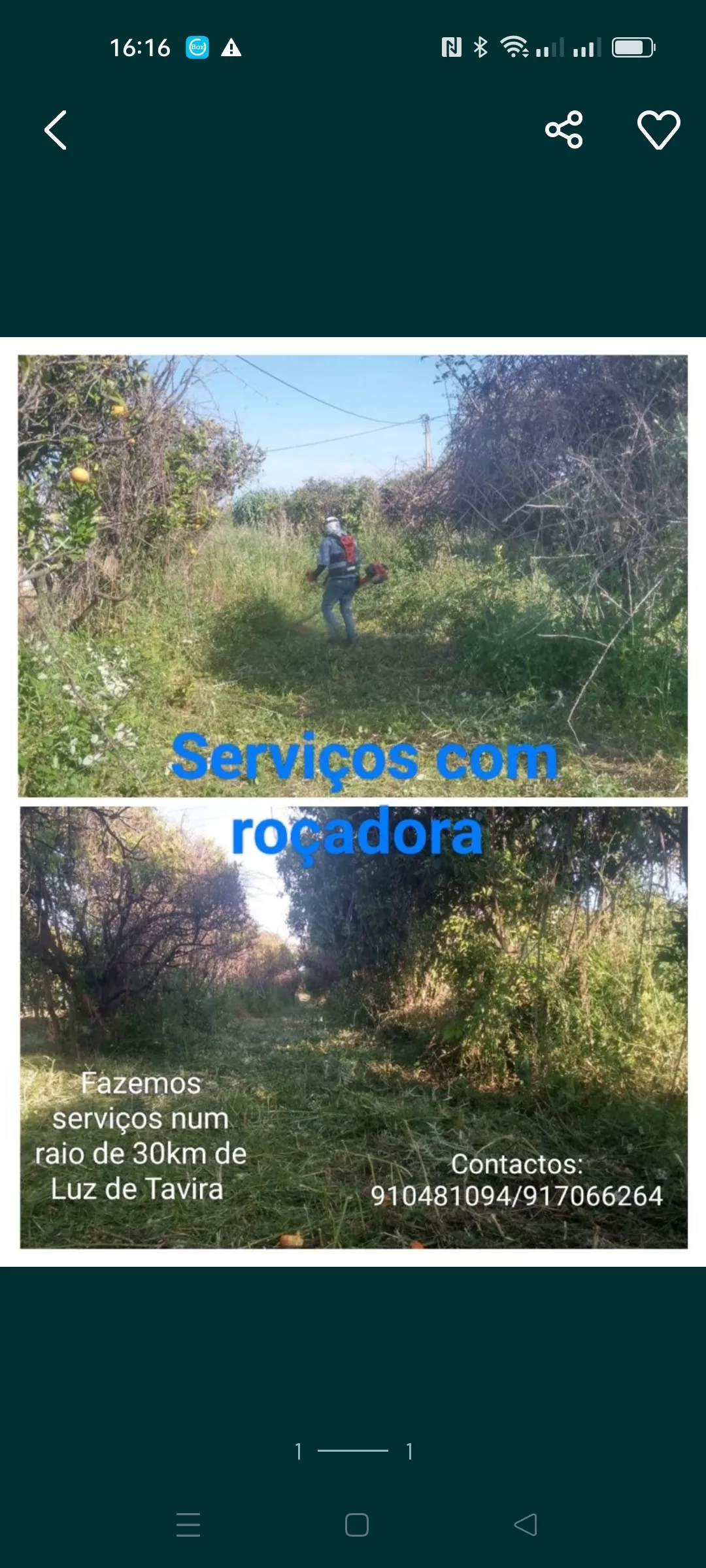 Limpeza de terrenos e outros / Land clearing