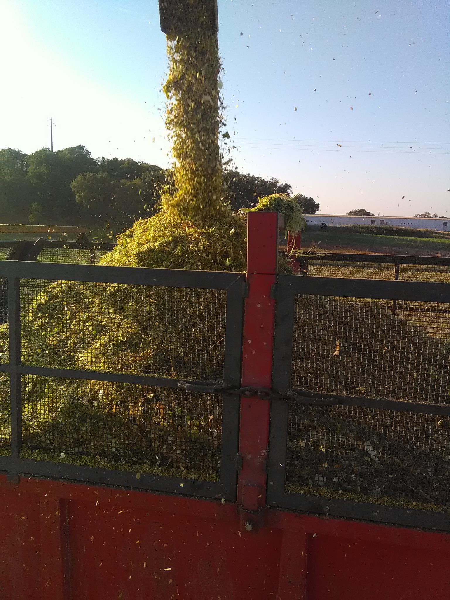 Prestação de serviços agrícolas